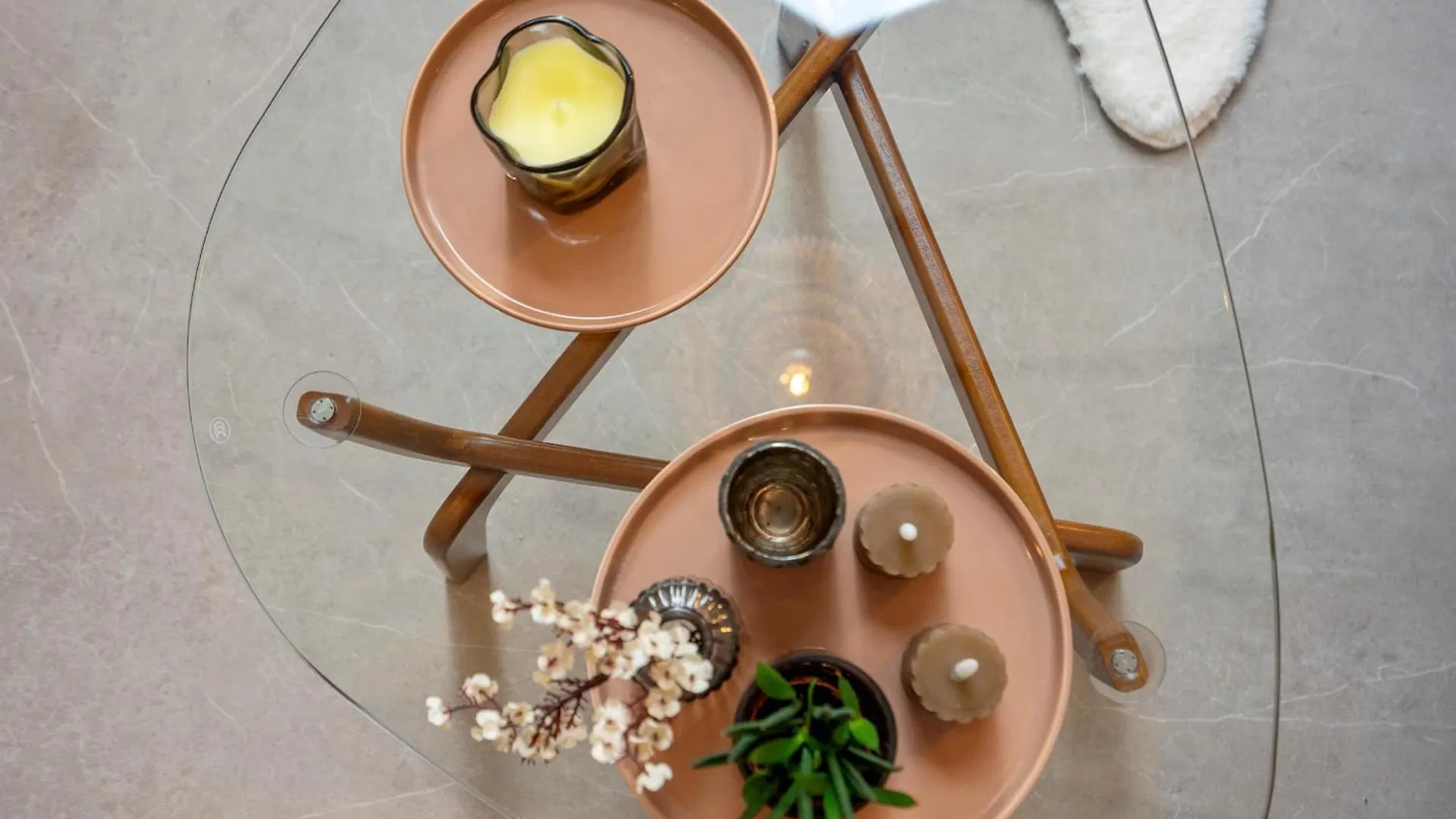 The Green Pine Tree زاندفورت