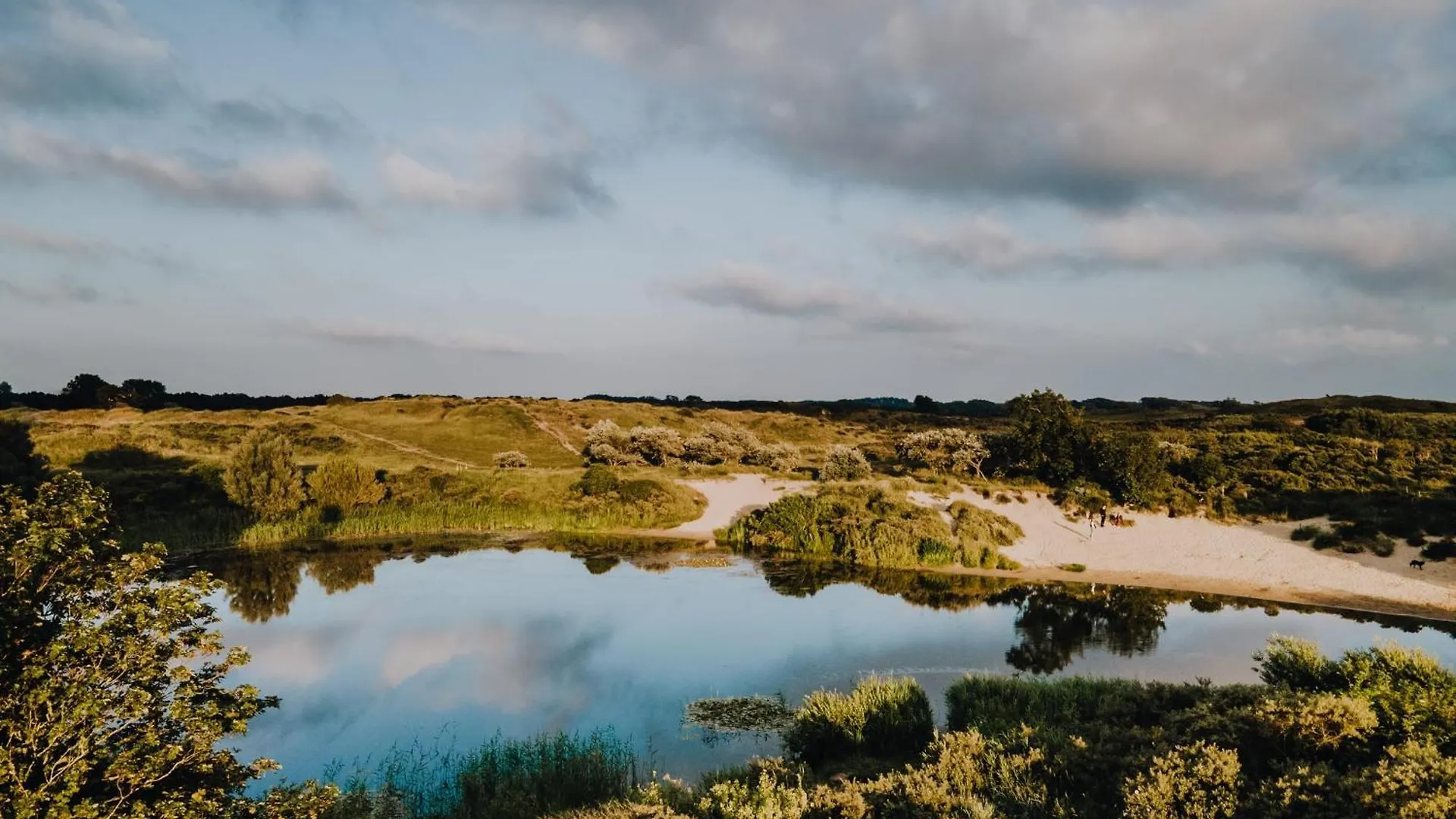 Semesterbostad The Green Pine Tree Zandvoort